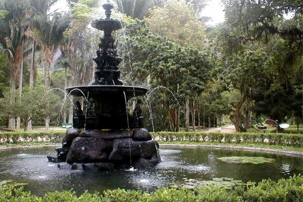 Tijuca Forest and Botanical Garden Expedition