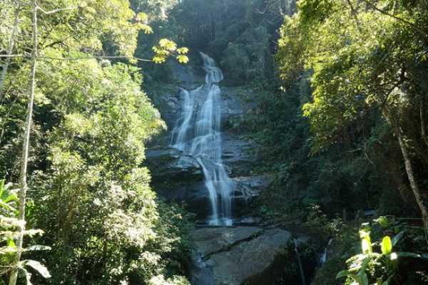 Tijuca Forest and Botanical Garden Expedition