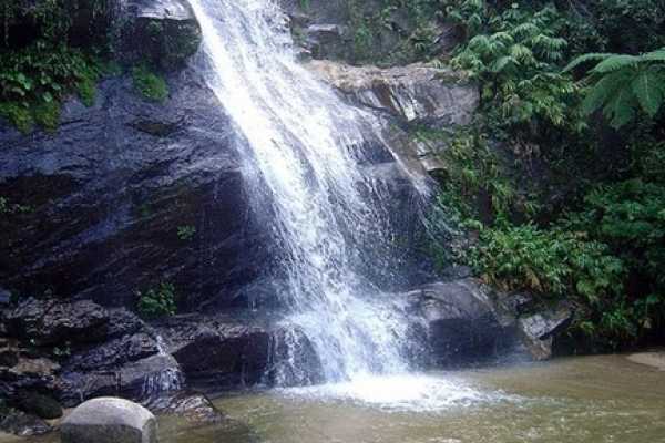 Tijuca Forest and Botanical Garden Expedition