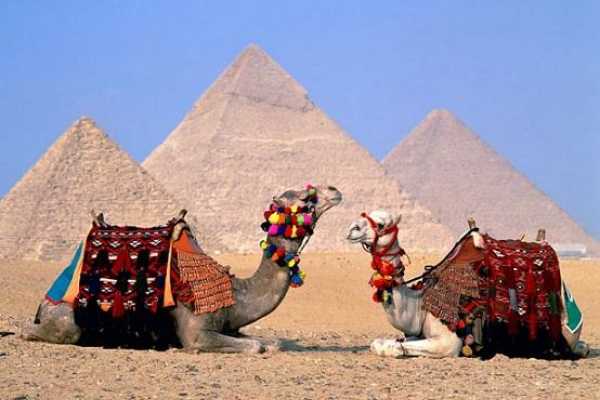 Cairo tour from Soma Bay by flight