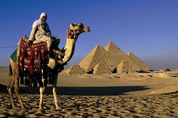 From Soma Bay to Cairo one day tour by bus