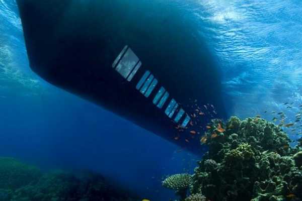 Sea scope excursion in Soma Bay