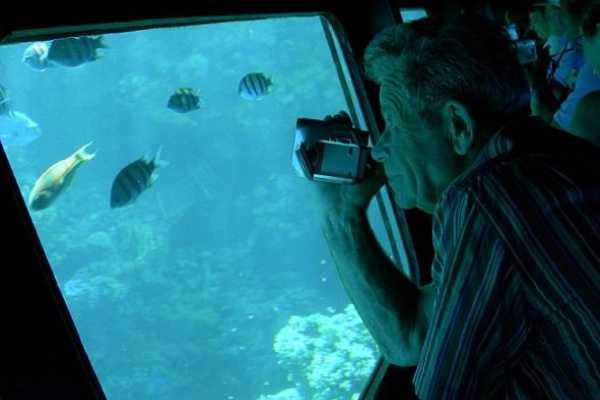 Sea scope excursion in Soma Bay