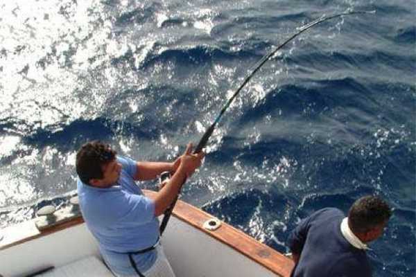 Fishing tour from Soma Bay