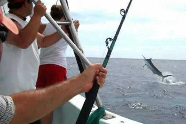 Fishing tour from Soma Bay