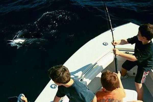 Fishing tour from Soma Bay