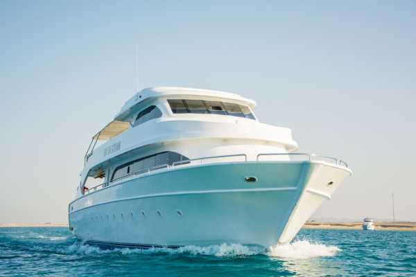 Overnight snorkeling trip at Satayah dolphin reef from El Quseir
