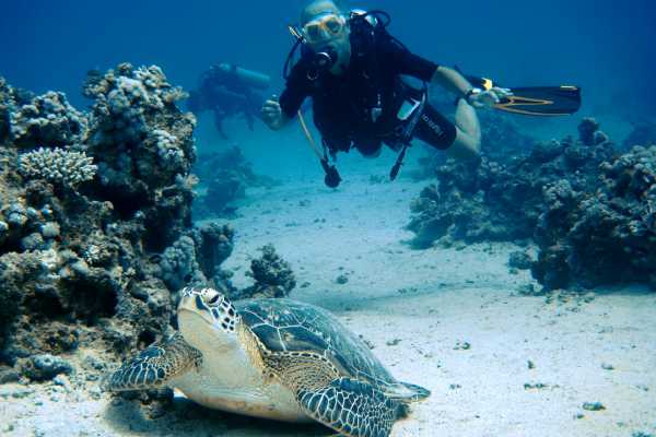 Overnight  diving trip to Satayah reef from Marsa Alam