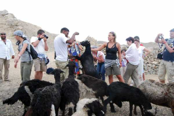 Super Quad Biking trip from Hurghada