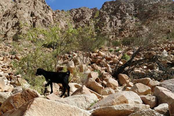 Shalateen tour from Marsa Alam