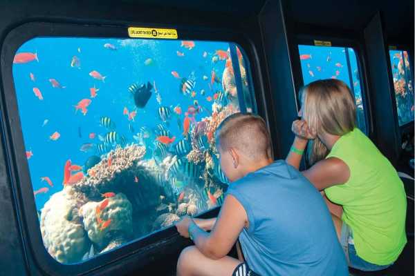Nefertari Sea scope boat Marsa Alam trip