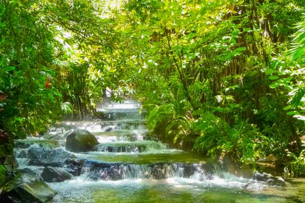 Arenal Wildlife and Hot Springs Combo