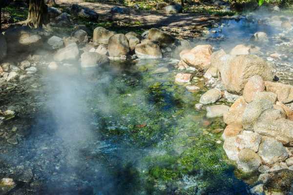 Arenal Wildlife and Hot Springs Combo