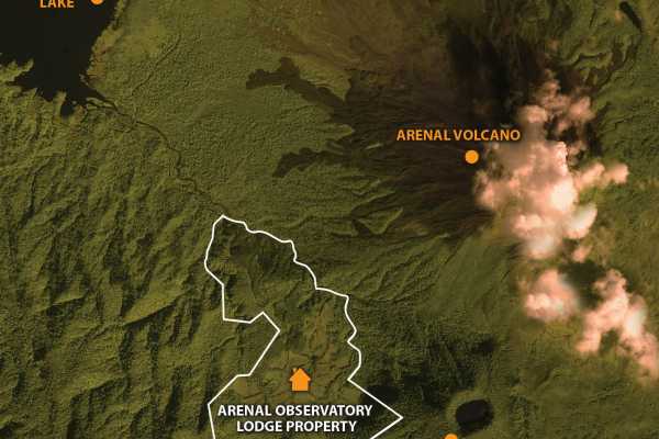 Arenal Wildlife and Hot Springs Combo