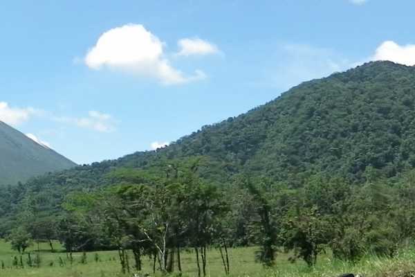 Arenal Wildlife and Hot Springs Combo