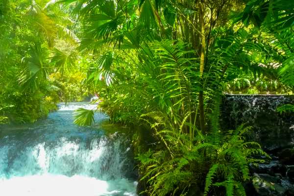 Arenal Wildlife and Hot Springs Combo