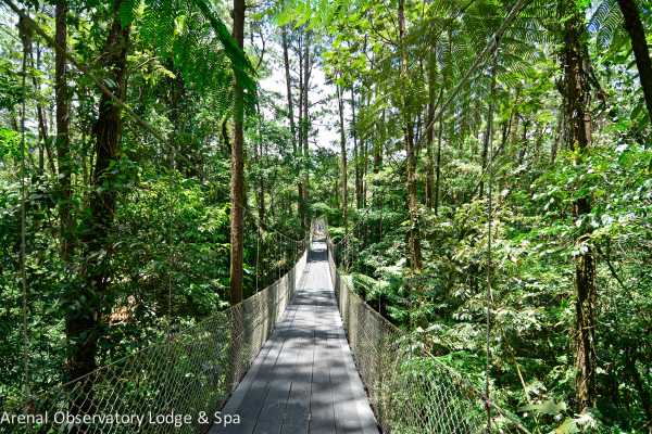 Arenal Wildlife and Hot Springs Combo