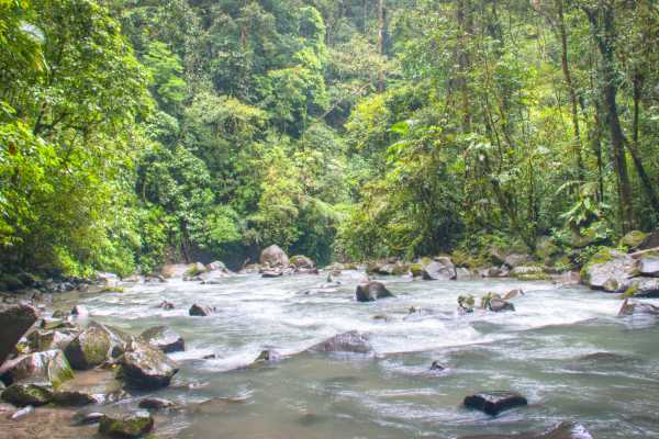 Arenal Wildlife and Hot Springs Combo