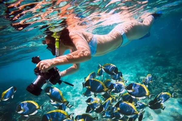 Abu Dabab day Snorkeling tour from Soma Bay