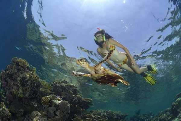 Giftun Island Snorkeling Tours From Soma Bay