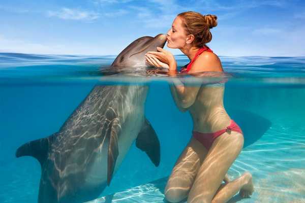 Giftun Island Snorkeling Tours From Soma Bay