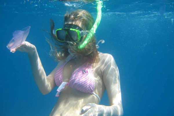 Snorkelingtrip at Port Ghalib Marina from Portghalib.