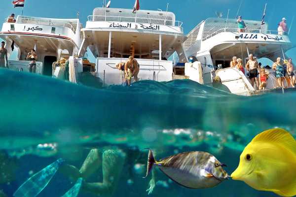 Snorkelingtrip at Port Ghalib Marina from Portghalib.
