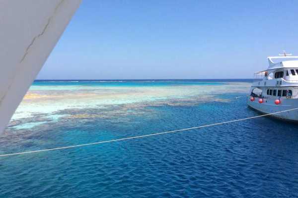 Snorkeling Trip To hamata Island from Port Ghalib