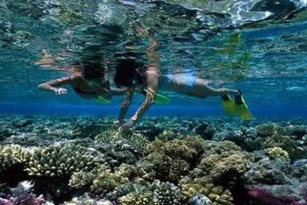 Snorkeling Trip To hamata Island from Port Ghalib