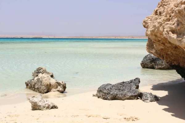 Sharm El Luli Snorkeling Tours From Port Ghalib