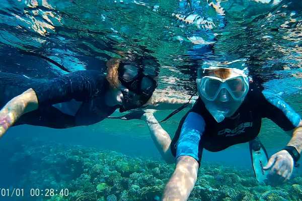 Sharm El Luli Snorkeling Tours From Port Ghalib