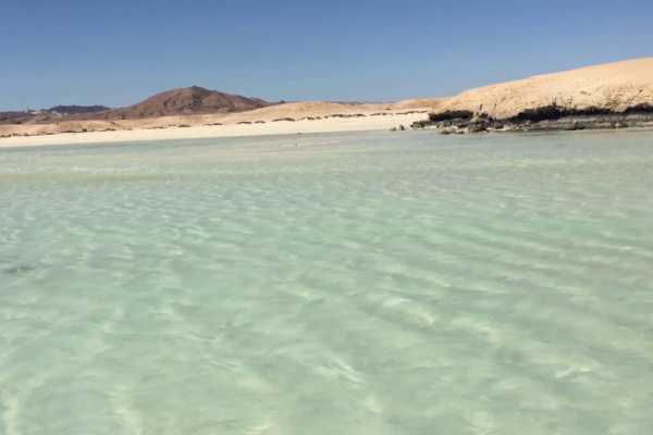 Sharm El Luli Snorkeling Tours From Port Ghalib