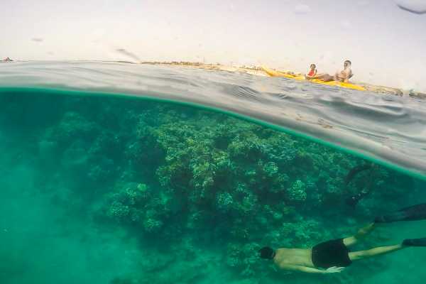 Sharm El Luli Snorkeling Tours From Port Ghalib