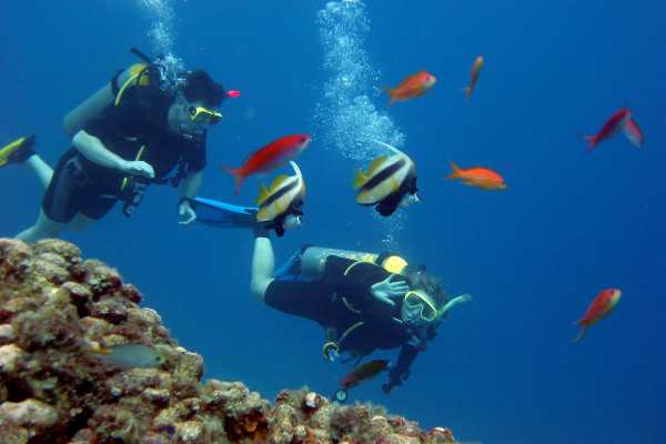 Padi Scuba Diving In Port Ghalib