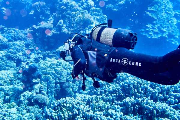 Padi Scuba Diving In Port Ghalib