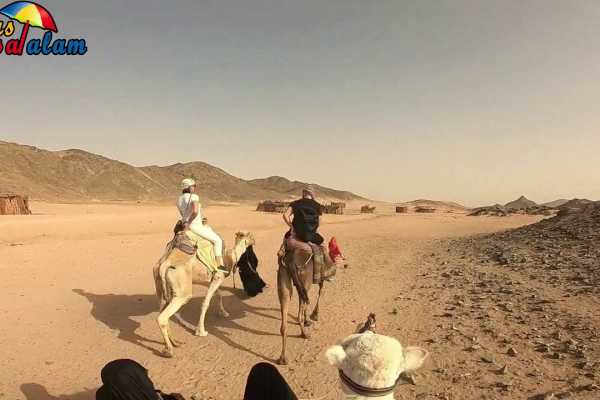 Sunset Buggy tour from Sahel Hashish | Safari Tour from Sahel Hashish