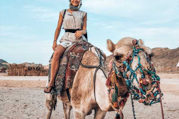 Camel riding day tour from Port Ghalib