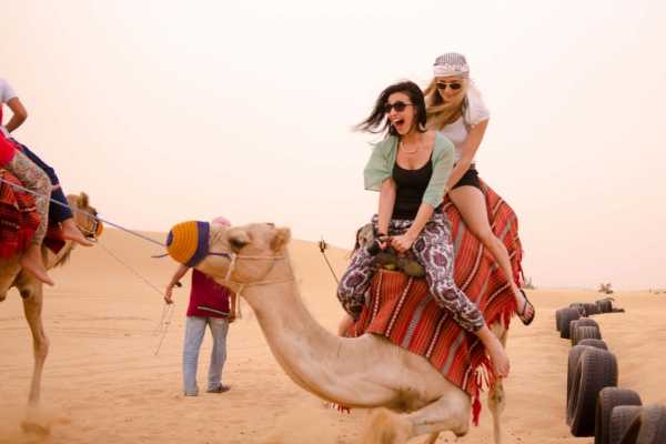 Camel riding day tour from Port Ghalib
