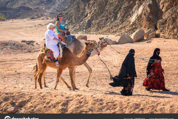 Camel riding day tour from Port Ghalib