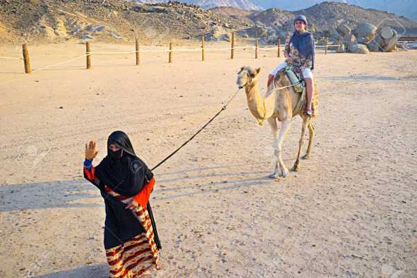 Camel riding day tour from Port Ghalib