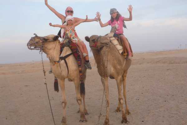 Camel riding day tour from Port Ghalib
