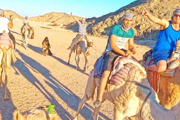 Camel riding day tour from Port Ghalib