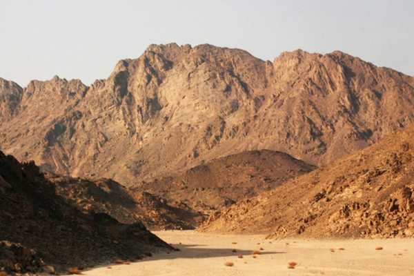 Wadi El Gemal Excursions In Port Ghalib