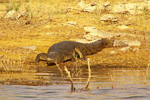 Wadi El Gemal Excursions In Port Ghalib