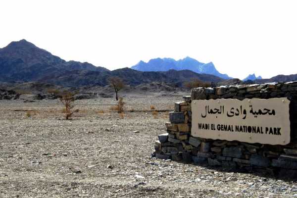 Wadi El Gemal Excursions In Port Ghalib