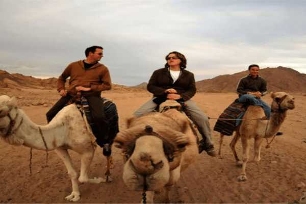 Super desert Safari tour from Port Ghalib