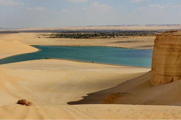 Valley of the Whales Tour -Wadi El Hitan