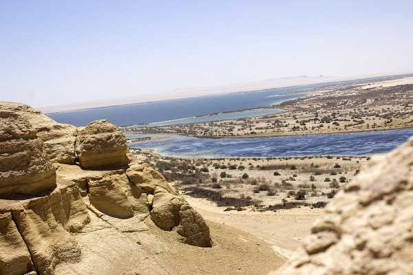 Valley of the Whales Tour -Wadi El Hitan