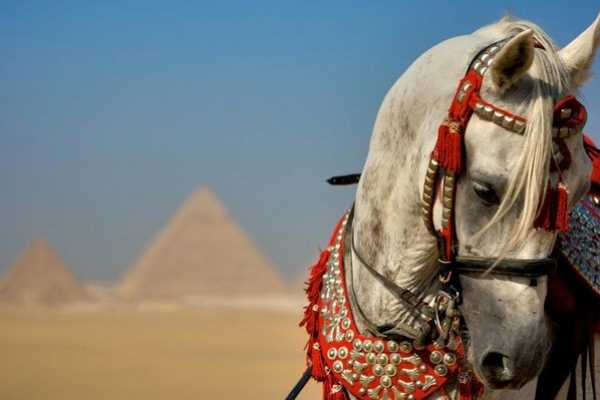 Queen Hatshepsut Tour - Cairo / Luxor / Cairo 05 Nights