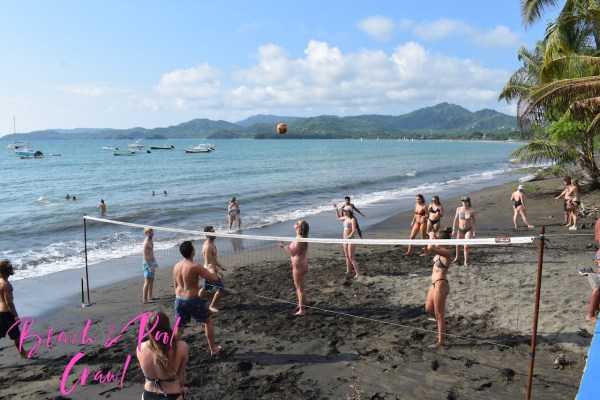 Beach and Pool Crawl Party Bus Tour